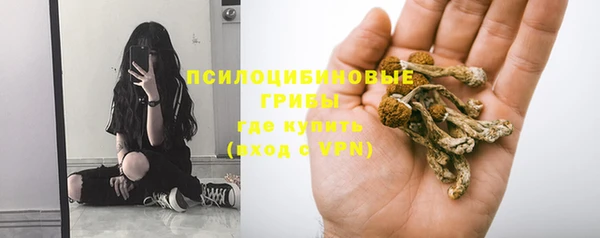 apvp Баксан