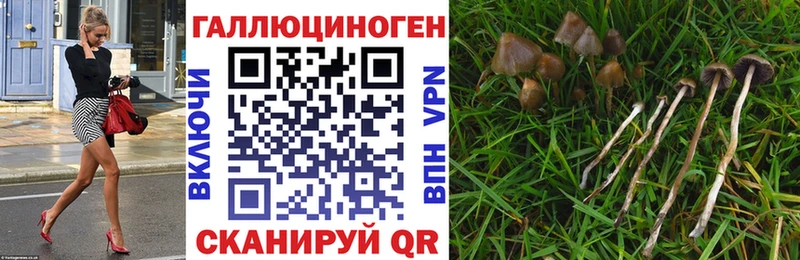 купить наркоту  Зима  Псилоцибиновые грибы ЛСД 